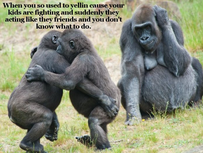 african gorilla - When you so used to yellin cause your kids are fighting and suddenly they acting they friends and you don't know what to do.
