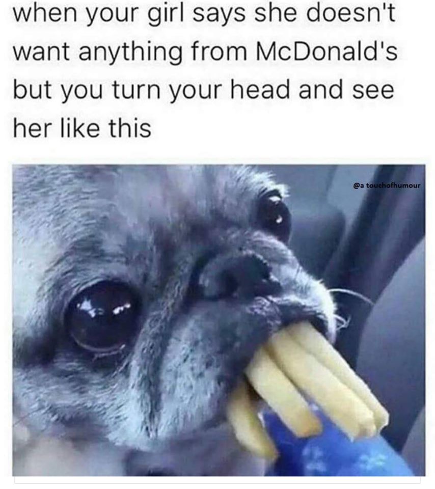 relationship memes - when your girl says she doesn't want anything from McDonald's but you turn your head and see her this touchofhumour