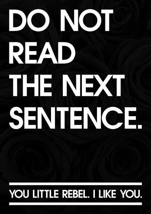 funny daily inspirational quotes - Do Not Read The Next Sentence. You Little Rebel. I You.