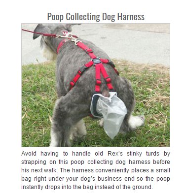 Yeah I'm sure the dog is just happy with this. Now can you imagine trying to explain to the onlookers why you are standing at your dog's butt ripping a bag off???