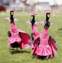 halloween pet duck fashion show