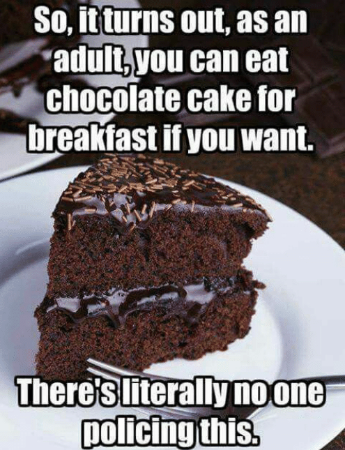 breakfast cake meme - So, it turns out, as an adult, you can eat chocolate cake for breakfast if you want. There's literally no one policing this.