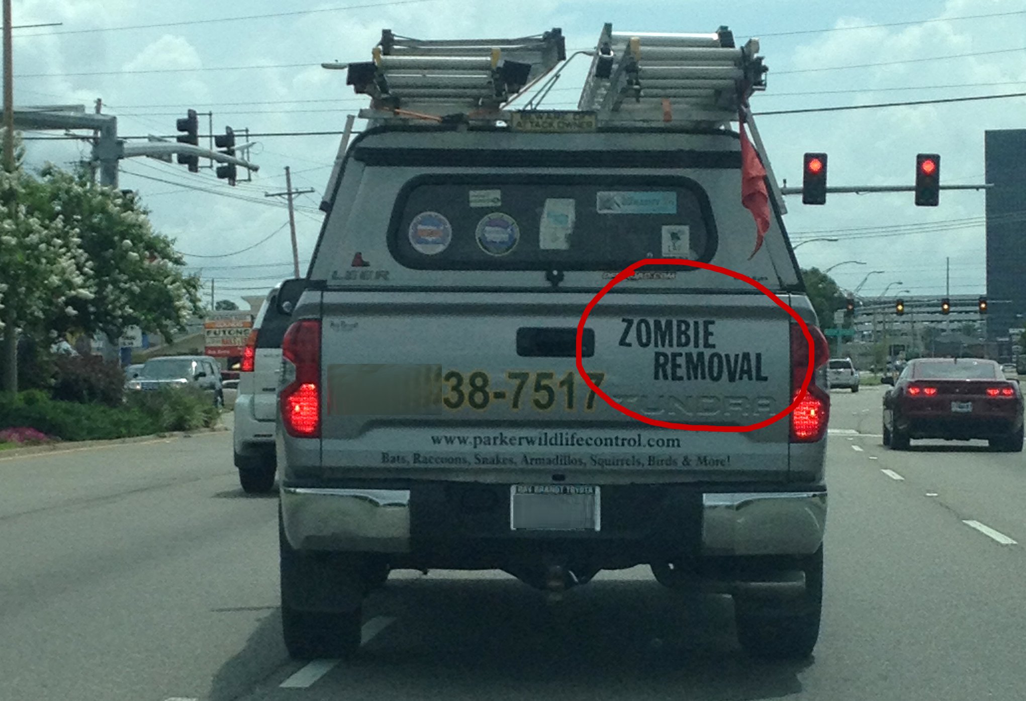 pickup truck - Ter Zombie Removal 387517 Bats, Raccoons, Snakes. Armadillos, Squirtels, Bads & More!