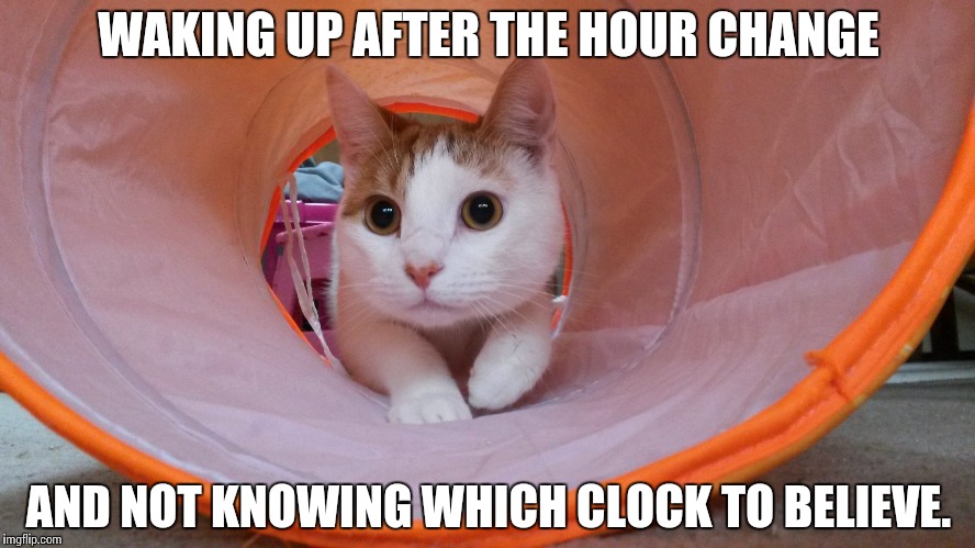 clock change meme - Waking Up After The Hour Change And Not Knowing Which Clock To Believe. imgflip.com