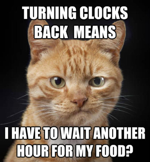 clocks go back meme - Turning Clocks Back Means I Have To Wait Another Hour For My Food?