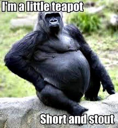 sexy gorilla - I'm a little teapot Short and stout