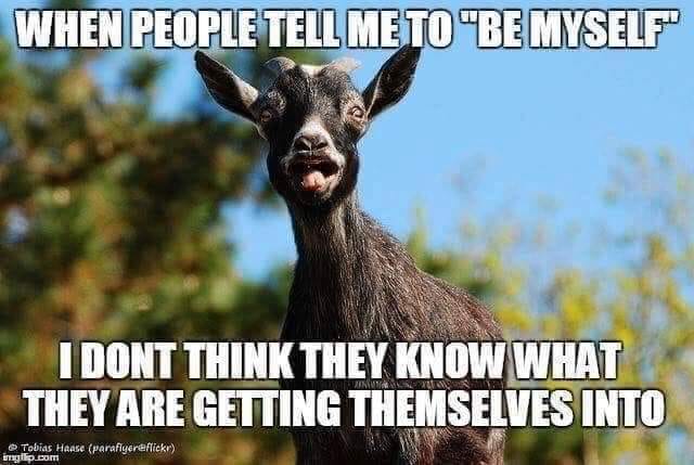 weekend humor - When People Tell Me To "Be Myself I Dont Think They Know What They Are Getting Themselves Into Tamara Tobias Haase paraflyereflickr immo.com