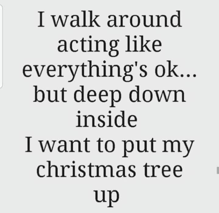 everything they do is offensive - I walk around acting everything's ok... but deep down inside I want to put my christmas tree up