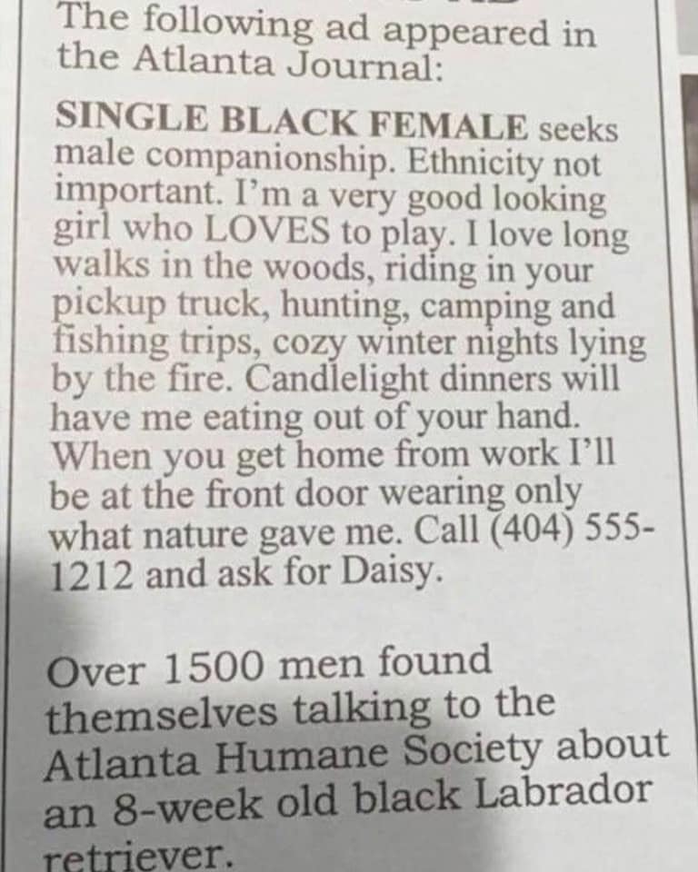 newspaper - The ing ad appeared in the Atlanta Journal Single Black Female seeks male companionship. Ethnicity not important. I'm a very good looking girl who Loves to play. I love long walks in the woods, riding in your pickup truck, hunting, camping and