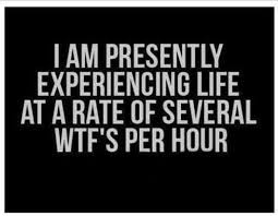 funny stressed mom quotes - Tam Presently Experiencing Life At A Rate Of Several Wtf'S Per Hour