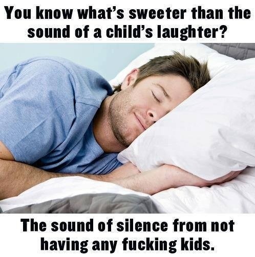 not having kids meme - You know what's sweeter than the sound of a child's laughter? The sound of silence from not having any fucking kids.