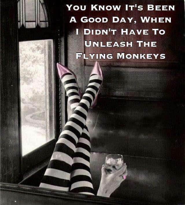 it's been a great day - You Know It'S Been A Good Day, When I Didn'T Have To Unleash The Flying Monkeys