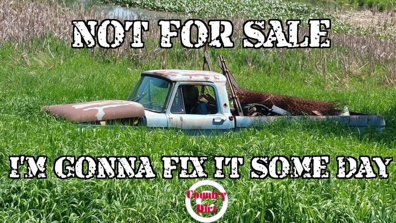 grass - Not For Sale I'M Gonna Fix It Some Day