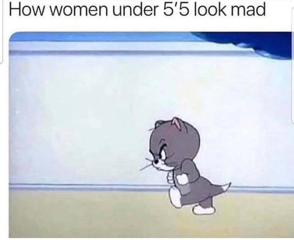 Laughter - How women under 5'5 look mad