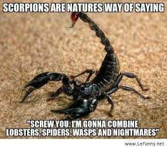 scorpion funny - Scorpions Are Natures Way Of Saying Screw You. Im Gonna Combine Lobsters Spiders, Wasps And Nightmares"