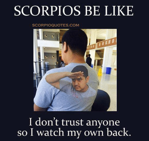 scorpio be like - Scorpios Be Scorpioquotes.Com ' I don't trust anyone so I watch my own back.