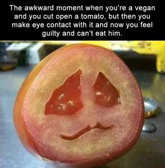 vegan tomato meme - The awkward moment when you're a vegan and you cut open a tomato, but then you make eye contact with it and now you feel guilty and can't eat him.