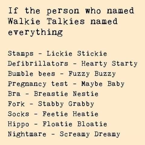Pregnancy - If the person who named Walkie Talkies named everything Stamps Lickie Stickie Defibrillators Hearty Starty Bumble bees Fuzzy Buzzy Pregnancy test Maybe Baby Bra Breastie Nestie Fork Stabby Grabby Socks Feetie Heatie Hippo Floatie Bloatie Night