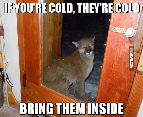 bring them inside cougar - If You'Re Cold, They'Re Cold Humoar.Com Bring Them Inside