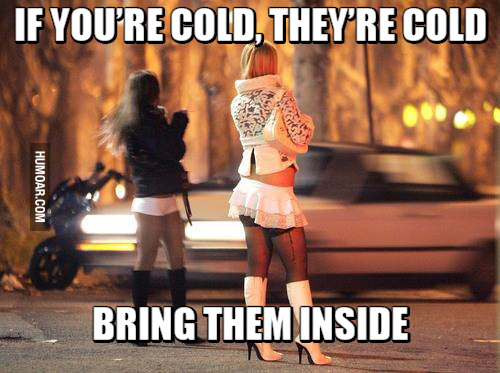 if you re cold they re cold bring them inside - If You'Re Cold, They'Re Cold Humoar.Com Bring Them Inside