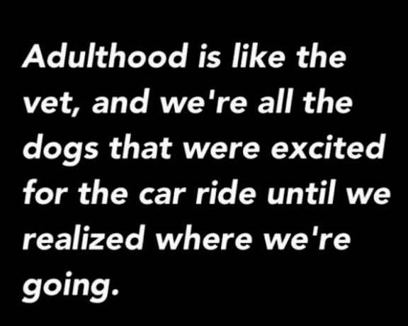 quotes about bad girlfriends - Adulthood is the vet, and we're all the dogs that were excited for the car ride until we realized where we're going.