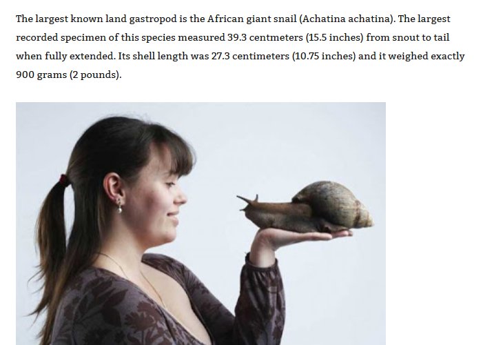 world's largest snail - The largest known land gastropod is the African giant snail Achatina achatina. The largest recorded specimen of this species measured 39.3 centmeters 15.5 inches from snout to tail when fully extended. Its shell length was 27.3 cen