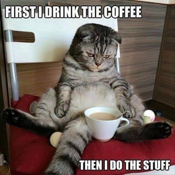 funny coffee memes - First I Drink The Coffee Then I Do The Stuff