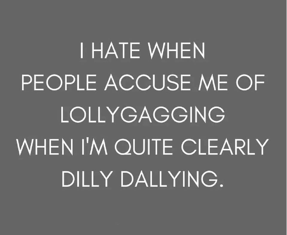 people's party - I Hate When People Accuse Me Of Lollygagging When I'M Quite Clearly Dilly Dallying.