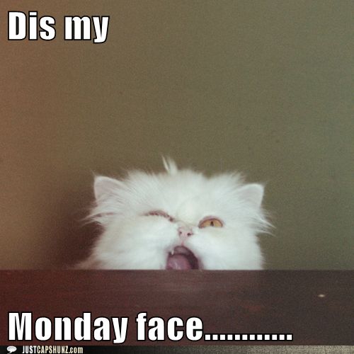 my monday face - Dis my Monday face.. Iiiiiiiiiiii Justcapshunz.com