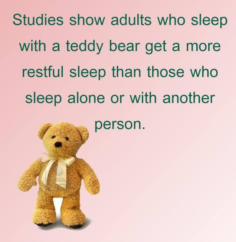 teddy bear - Studies show adults who sleep with a teddy bear get a more restful sleep than those who sleep alone or with another person.