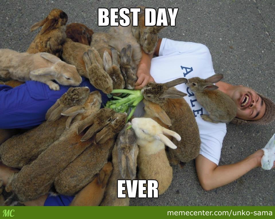 antidepressant meme - Best Day Ever Mc memecenter.comunkosama