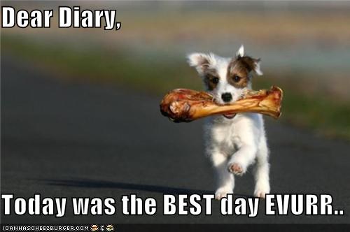 best day ever funny meme - Dear Diary, Today was the Best day Ewurr.. Canhascheepburger.Com