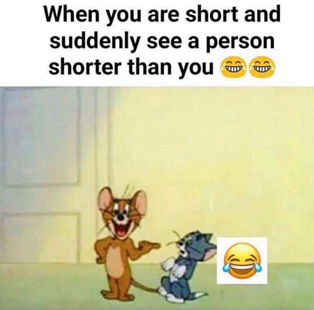 you see someone shorter than you - When you are short and suddenly see a person shorter than you r Vu