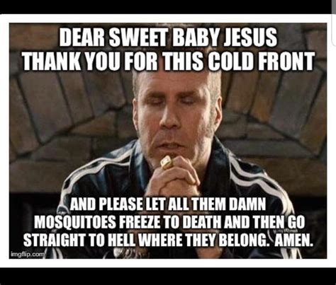 texas cold front meme - Dear Sweet Baby Jesus Thank You For This Cold Front And Please Let All Them Damn Mosquitoes Freeze To Death And Then Go Straight To Hell Where They Belong. Amen. mgflip.com