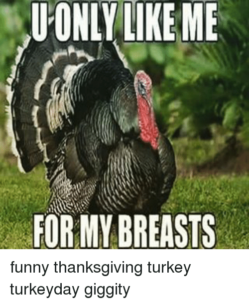 you only like me for my breasts turkey - Qu'Only Me For My Breasts funny thanksgiving turkey turkeyday giggity