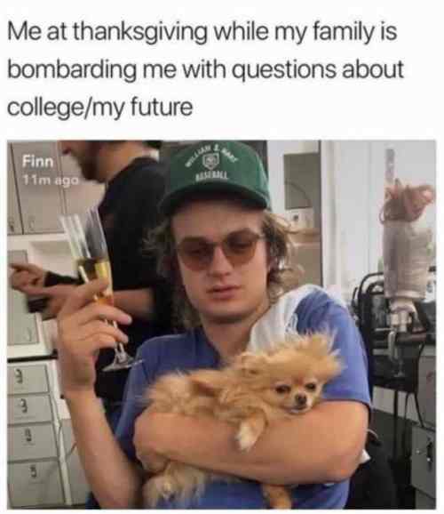 joe keery dog - Me at thanksgiving while my family is bombarding me with questions about collegemy future Finn 11m ago