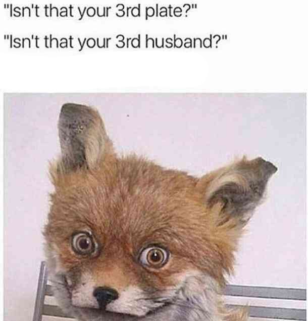 stoned fox - "Isn't that your 3rd plate?" "Isn't that your 3rd husband?"