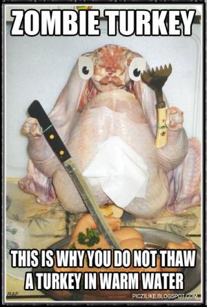 funny thanksgiving cartoon - Zombie Turkey This Is Why You Do Not Thaw A Turkey In Warm Water Piczi Blogspot.Com