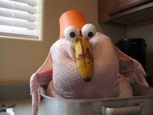 funny turkey