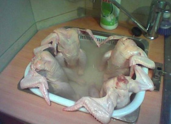 turkeys in a hot tub