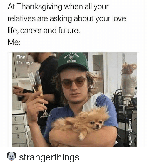 joe keery dog - At Thanksgiving when all your relatives are asking about your love life, career and future. Me Finn 11m ago le_saint james strangerthings