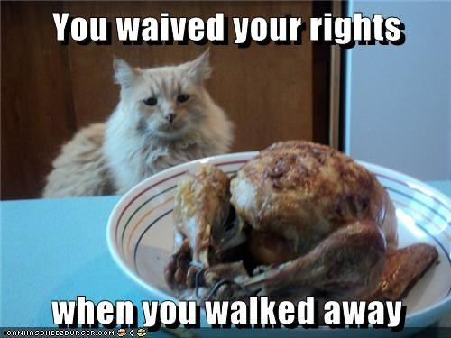 happy thanksgiving cat - You waived your rights when you walked away Icanhascheezburger.Com