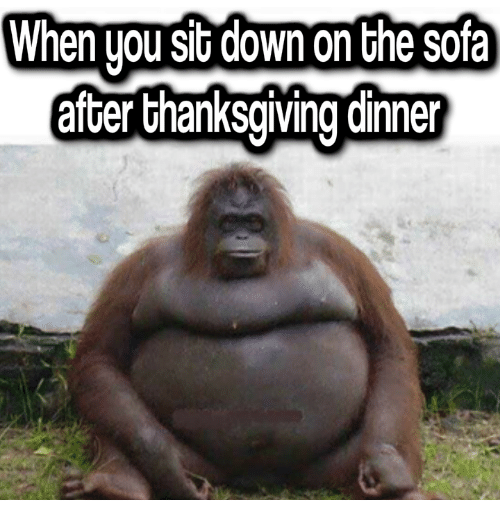 after thanksgiving dinner meme - When you sit down on the sofa after thanksgiving dinner