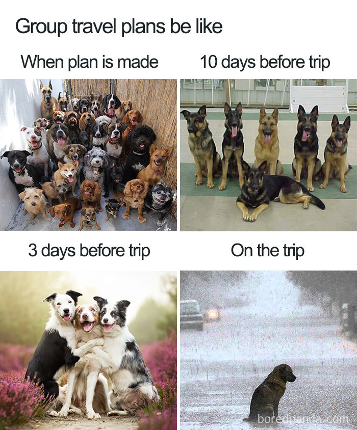 group travel plans be like - Group travel plans be When plan is made 10 days before trip 3 days before trip On the trip boredna