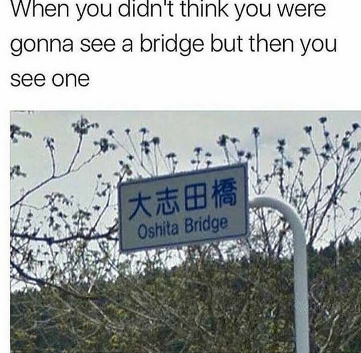 oshita bridge - When you didn't think you were gonna see a bridge but then you see one Oshita Bridge