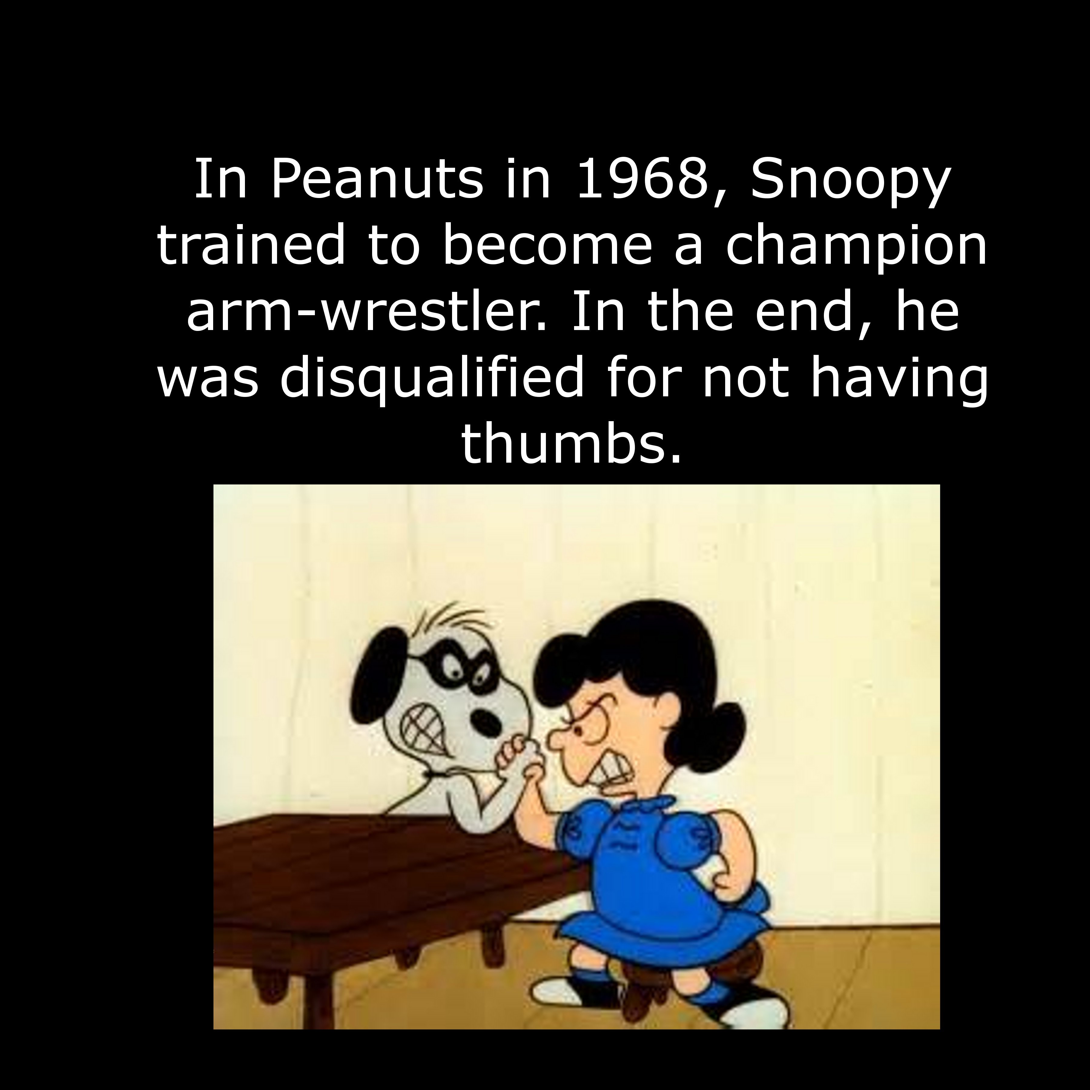 cartoon - 'In Peanuts in 1968, Snoopy trained to become a champion armwrestler. In the end, he was disqualified for not having thumbs.