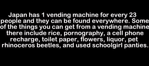 atmosphere - Japan has 1 vending machine for every 23 people and they can be found everywhere. Some of the things you can get from a vending machine there include rice, pornography, a cell phone, recharge, toilet paper, flowers, liquor, pet rhinoceros bee