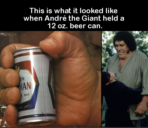 andre the giant hold a beer - This is what it looked when Andr the Giant held a 12 oz. beer can.