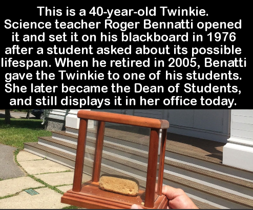 dorasan station - This is a 40yearold Twinkie. Science teacher Roger Bennatti opened it and set it on his blackboard in 1976 after a student asked about its possible lifespan. When he retired in 2005, Benatti gave the Twinkie to one of his students. She l