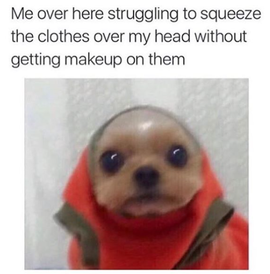 dog with makeup meme - Me over here struggling to squeeze the clothes over my head without getting makeup on them